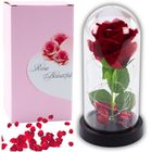 Lean Toys, wieczna róża w kopule, z oświetleniem LED, czerwona, 21-11 cm