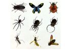 Lean Toys, zestaw kreatywny, stwórz bursztyn z owadem, prehistoria