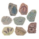 Lean Toys, zestaw paleontologiczny, wykopaliska z narzdziami