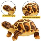 Lean Toys, żółw, maskotka, brązowy 25 cm