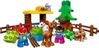 LEGO DUPLO, Leśne zwierzęta, 10582