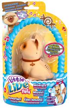 Little Live Pets, Interaktywny kotek Cukiereczek