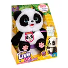 Little Live Pets, Moja Panda ChuChu, maskotka interaktywna robiąca kupkę
