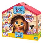 Little Live Pets, My Puppy's Home, Piesek z Domkiem, Kundelek, maskotka interaktywna