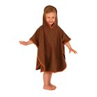 LittleLife, Poncho Dinozaur, poncho, 1-3 lata