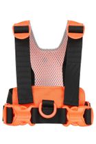 LittleLife, szelki bezpieczeństwa, Tygrys