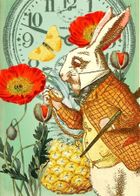 Madame Treacle, karnet B6 z kopertą, Alicja w krainie czarów