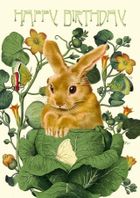 Madame Treacle, karnet urodzinowy z kopertą B6, Królik w kapuście