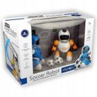 Madej, Soccer Robot, roboty interaktywne