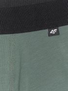 Majtki bokserki męskie, mix, zestaw, 2 szt., 4F