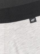 Majtki bokserki męskie, mix, zestaw, 2 szt., 4F