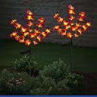 Maximex, lampki ogrodowe solarne, storczyki LED, 75 cm, 2 szt.