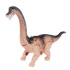 Mega Creative, dinozaur, światło, ruch, dźwięk