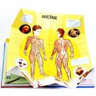 Mój pierwszy atlas anatomiczny. Ludzkie ciało