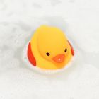 Mom's Care, kaczka pływająca, zabawka do kąpieli