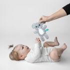 Mom's Care, koala, szeleszcząca szmatka