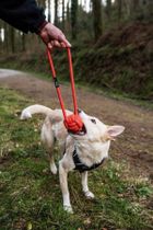 Mountain Paws, Ball Rope, zabawka dla psa, piłka sznurowa