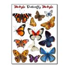 Naprasowanki, naplamki, Motyle