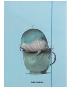 Narcissus, teczka z gumką A4, wieloryb, 1 szt.