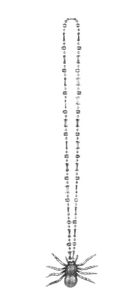 Naszyjnik z pająkiem, tarrantula, rozmiar XL