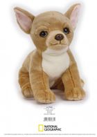 National Geographic, Chiwawa, maskotka, 26 cm
