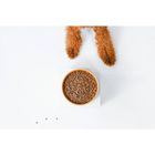 Nature's Protection, sucha karma dla psów małych ras, łosoś, kryl, 10 kg