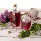 Orion, butelka z korkiem, szklana, 270 ml