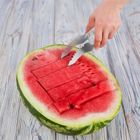 Orion, krajalnica do arbuza, stalowa, 3,5-21 cm