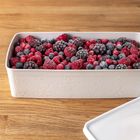 Orion, pojemnik na żywność z pokrywką, beżowy, 2 l