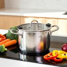 Orion, Venice, garnek stalowy z pokrywką, 20 cm, 4,6l