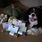 Paka Zwierzaka, Pepe Vet, kość funkcjonalna, zdrowe stawy, 70g