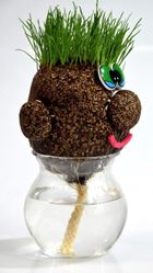 Pan Trawiastogłowy, zabawka edukacyjna