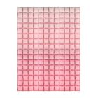 PartyDeco, balon foliowy, kurtyna, różowe ombre, 72-143 cm