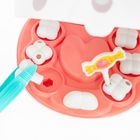 Pet Dentist, Królik, zestaw małego dentysty, 19 elementów