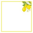 Peter Pauper Press, karteczki zdobione, Cytryny z Amalfi