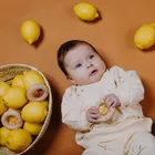 Petit Boum, grzechotka sensoryczna, cytryna