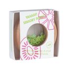 Petit Boum, grzechotka sensoryczna, kiwi