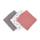 Petite&Mars, zestaw: Moussy, pieluszka z muślinu bambusowego, Rose Rainbows, 68-68 cm, 3 szt.