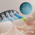 Philips, Sonicare, Premium Plaque Defence C3, końcówki do szczoteczki, czarne, 2 szt., HX9042/88