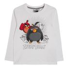 Piżama chłopięca, Angry Birds
