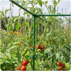 Plonos, złączki do tyczek, zielone, 11 mm, typu 3, 4 szt, PL-941