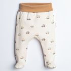 Półśpiochy chłopięce, beżowe, Nicol