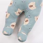 Półśpiochy chłopięce, szałwiowe, Eevi