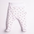 Półśpiochy dziewczęce, białe, Nicol