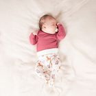 Półśpiochy dziewczęce, ecru, Nicol