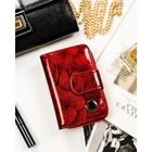 Portfel, czerwony, skórzany, Peterson