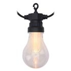ProGarden, Girlanda ogrodowa, Party z 20 lampkami LED