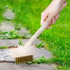 ProGarden, szczotka do chwastów, kostki brukowej ze skrobakiem, 35 cm