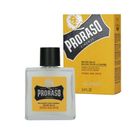 Proraso, Wood&Spice, balsam do brody, 100 ml