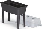 Prosperplast, szklarnia stojąca, rozsadnik, antracytowa, 59,6-36,8-75,3 cm